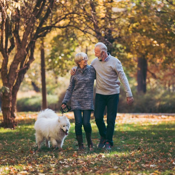 Senior couple walking their dog in park